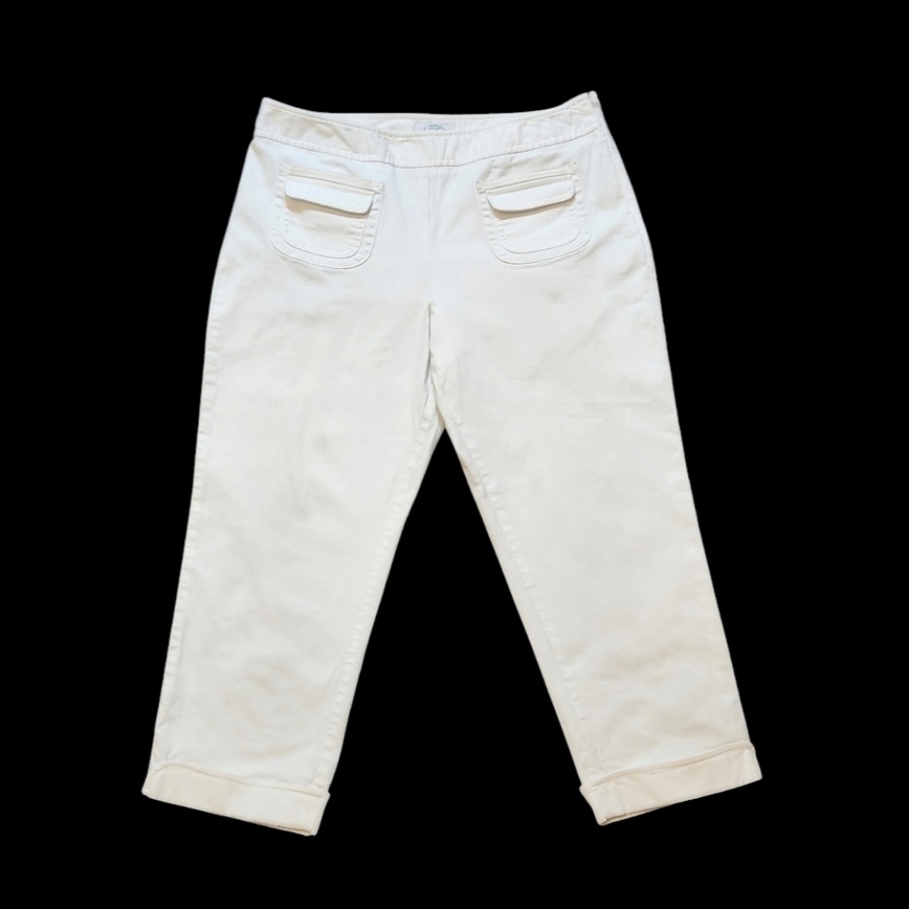 Ann Taylor LOFT Petite Stretch Cropped Pants